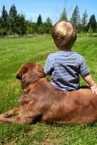 dog and baby